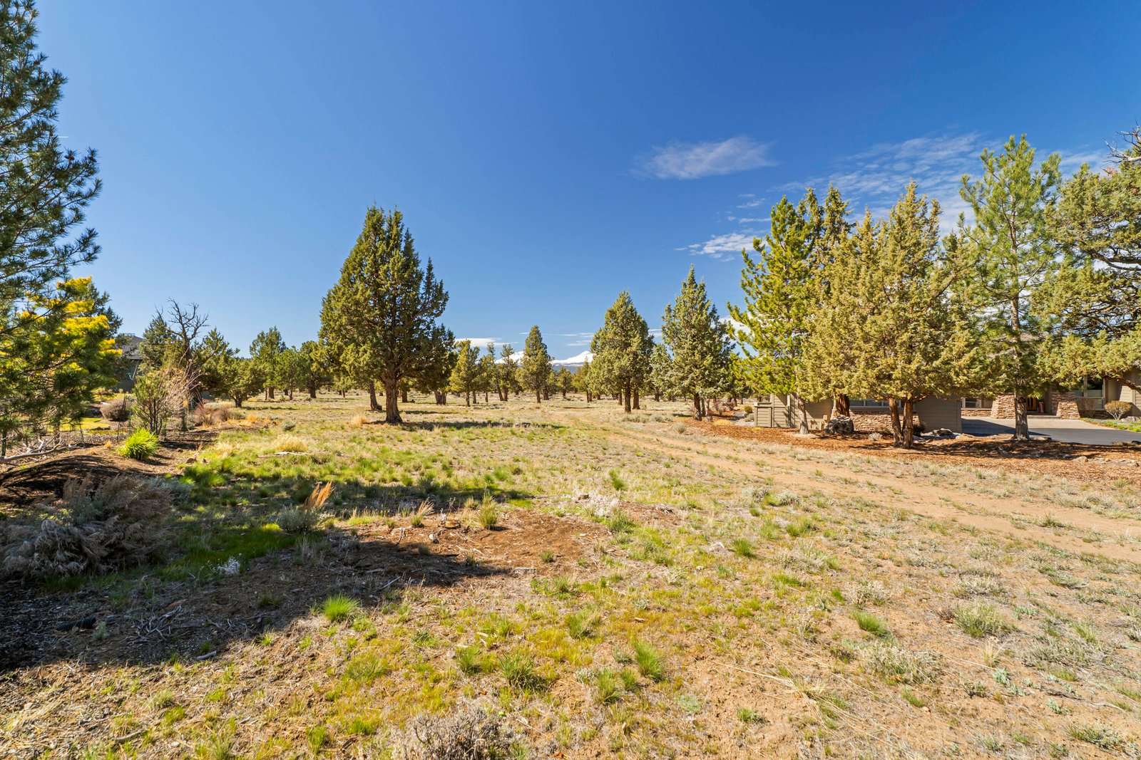 1261 Trail Creek Drive photo 5