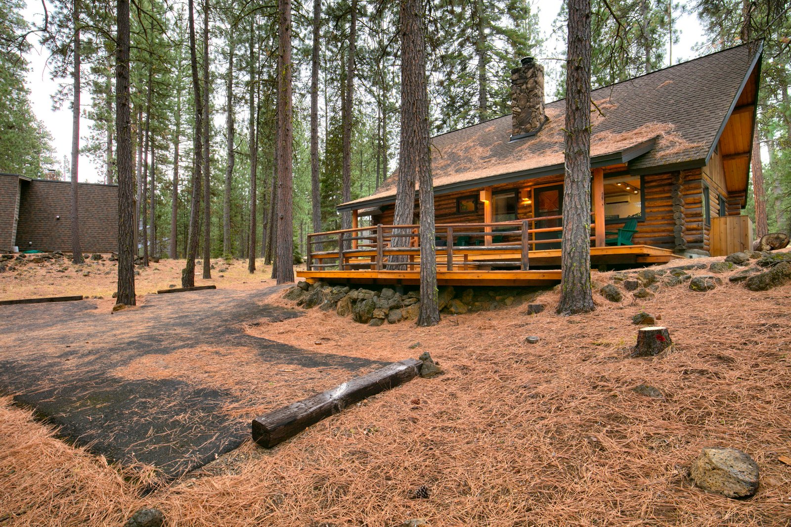 13579 Sundew, SM 34 photo 3
