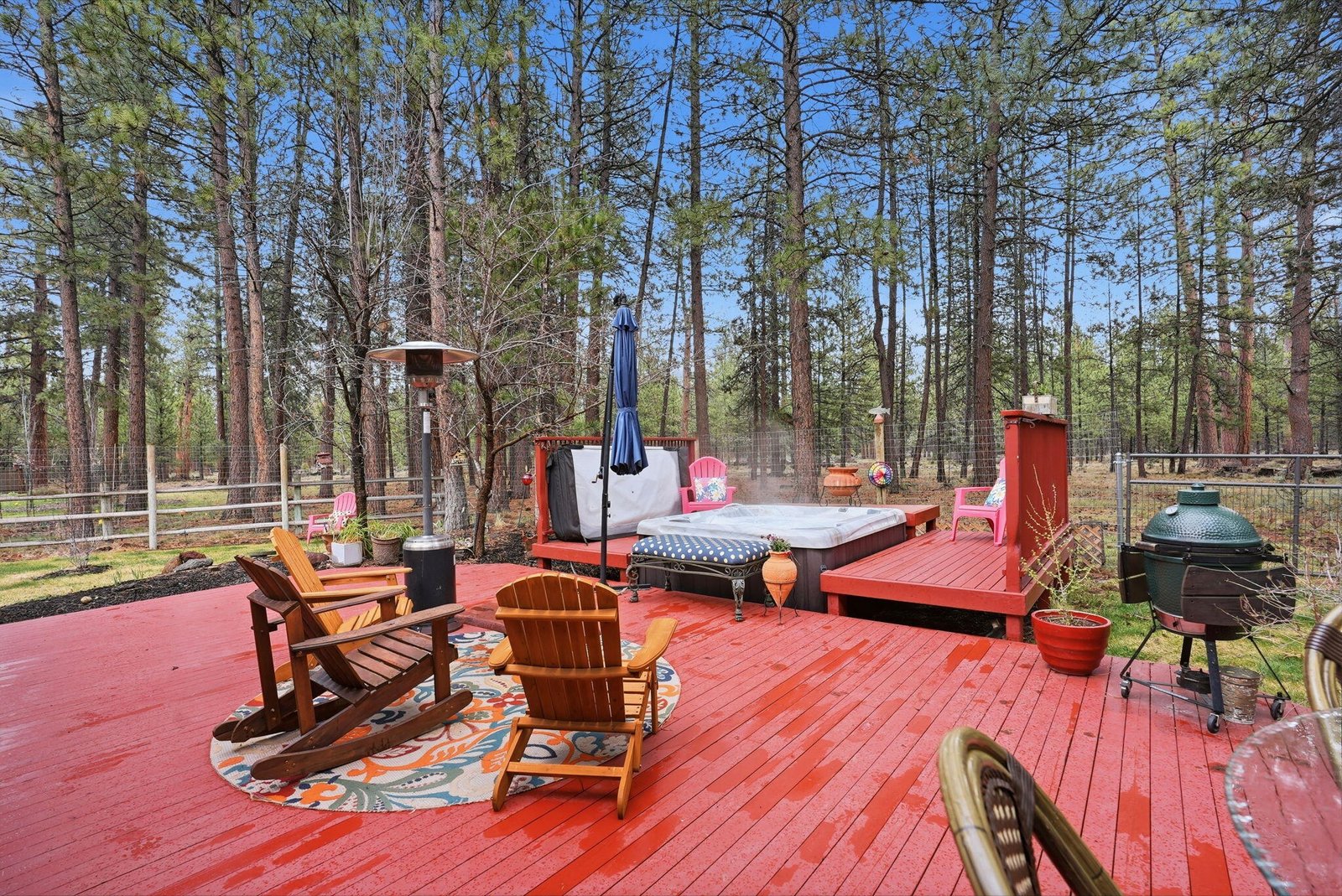 14987 Buggy Whip photo 2