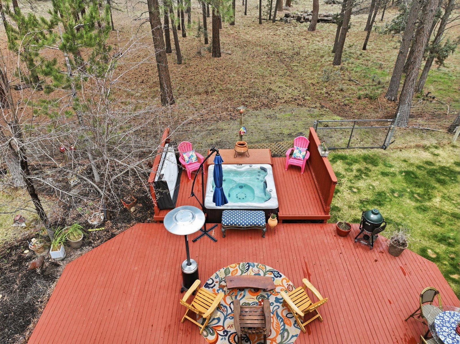 14987 Buggy Whip photo 3