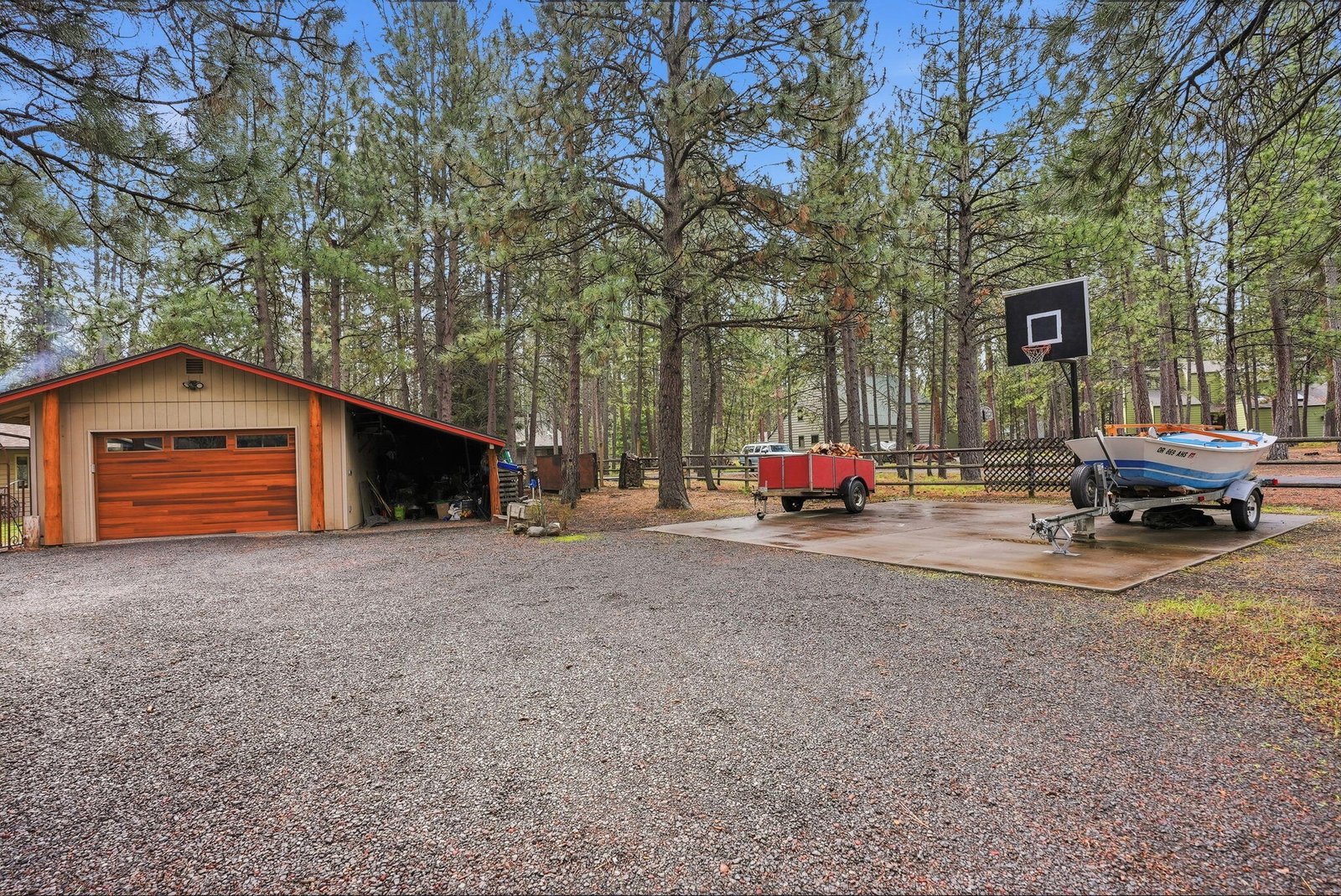 14987 Buggy Whip photo 5