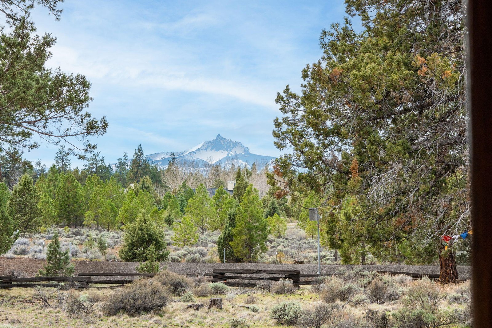 16011 Old Juniper Road photo 4