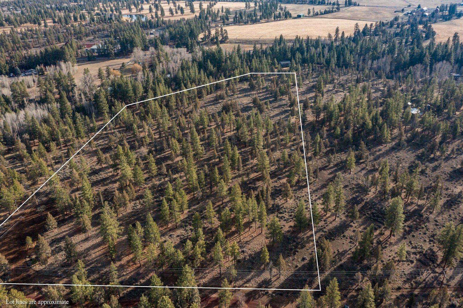16305 Riata Court — Sisters, OR