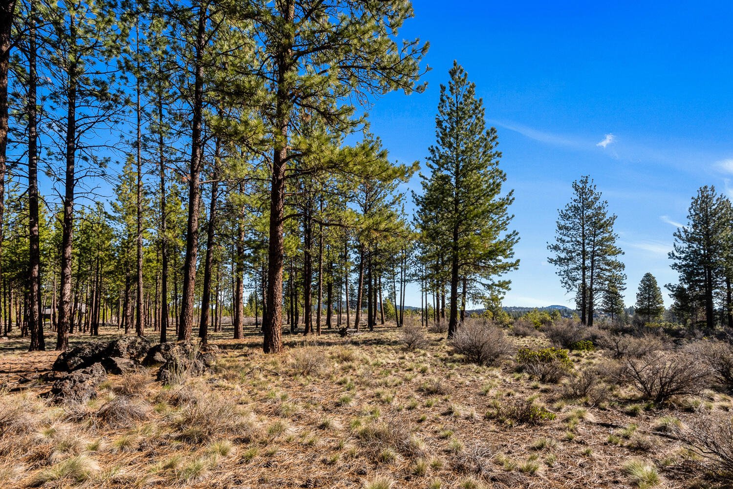 18862 Sutherland Court — Bend, OR