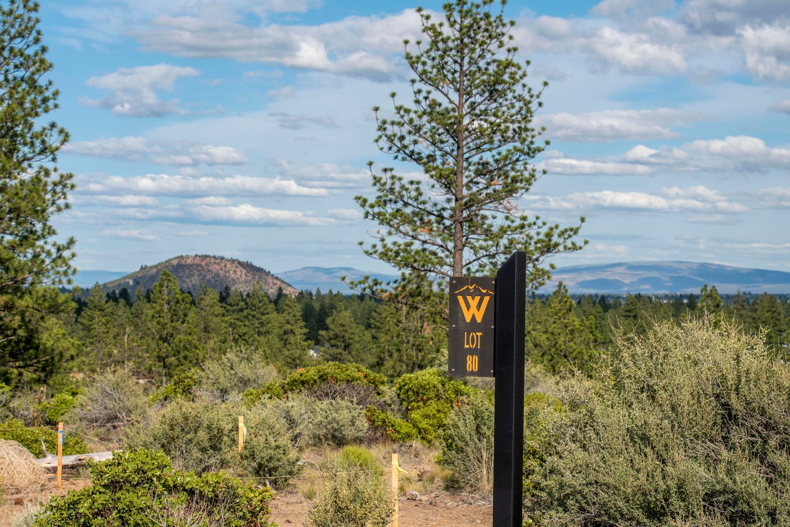 19121 Horizon View Drive photo 3