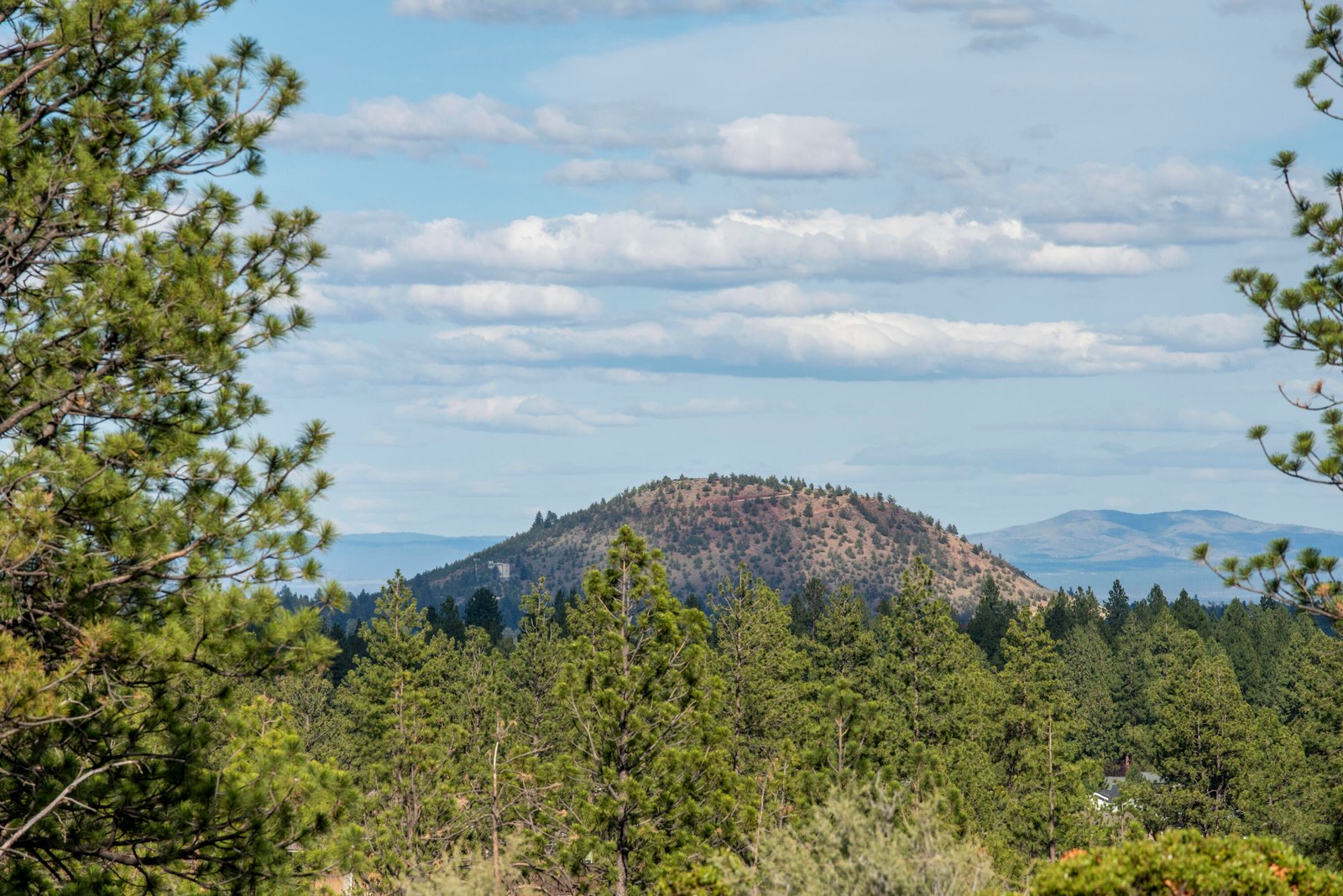 19121 Horizon View Drive photo 5