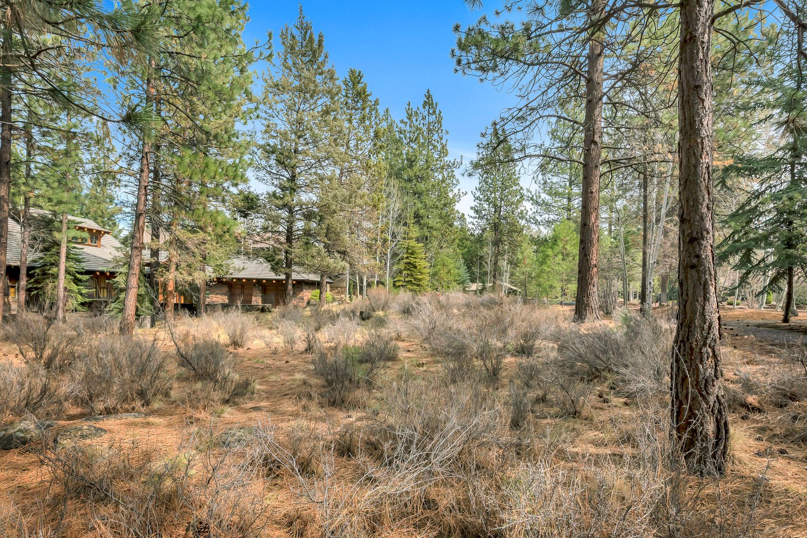19374 Rim Lake Court photo 2