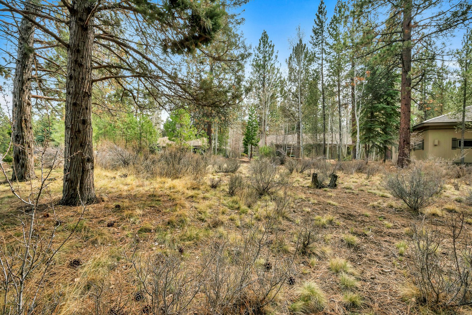19374 Rim Lake Court photo 4