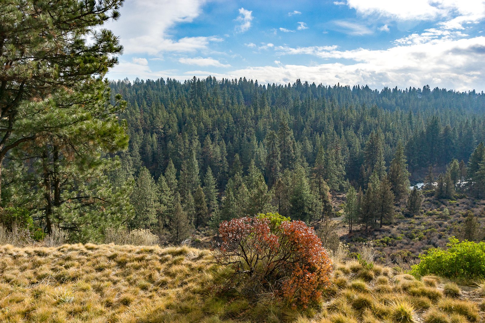 19717 Mt Bachelor Dr., 330E photo 5