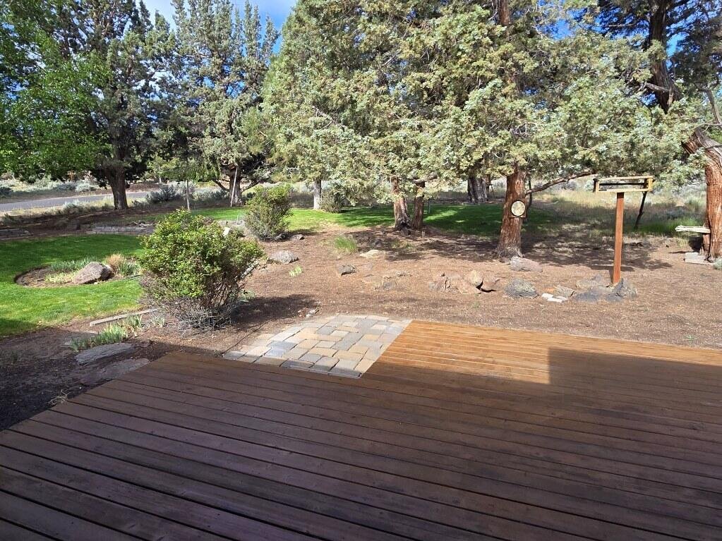 2261 Condor Drive photo 5