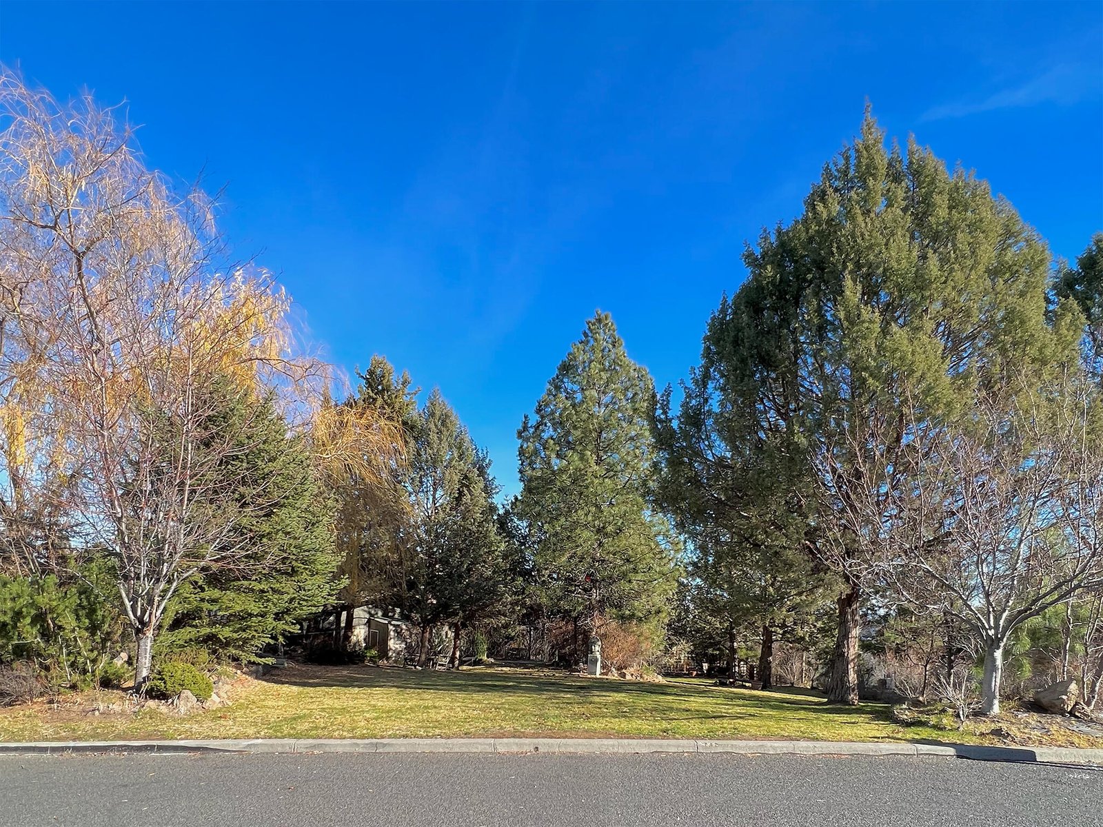3162 NW Craftsman Drive photo 3