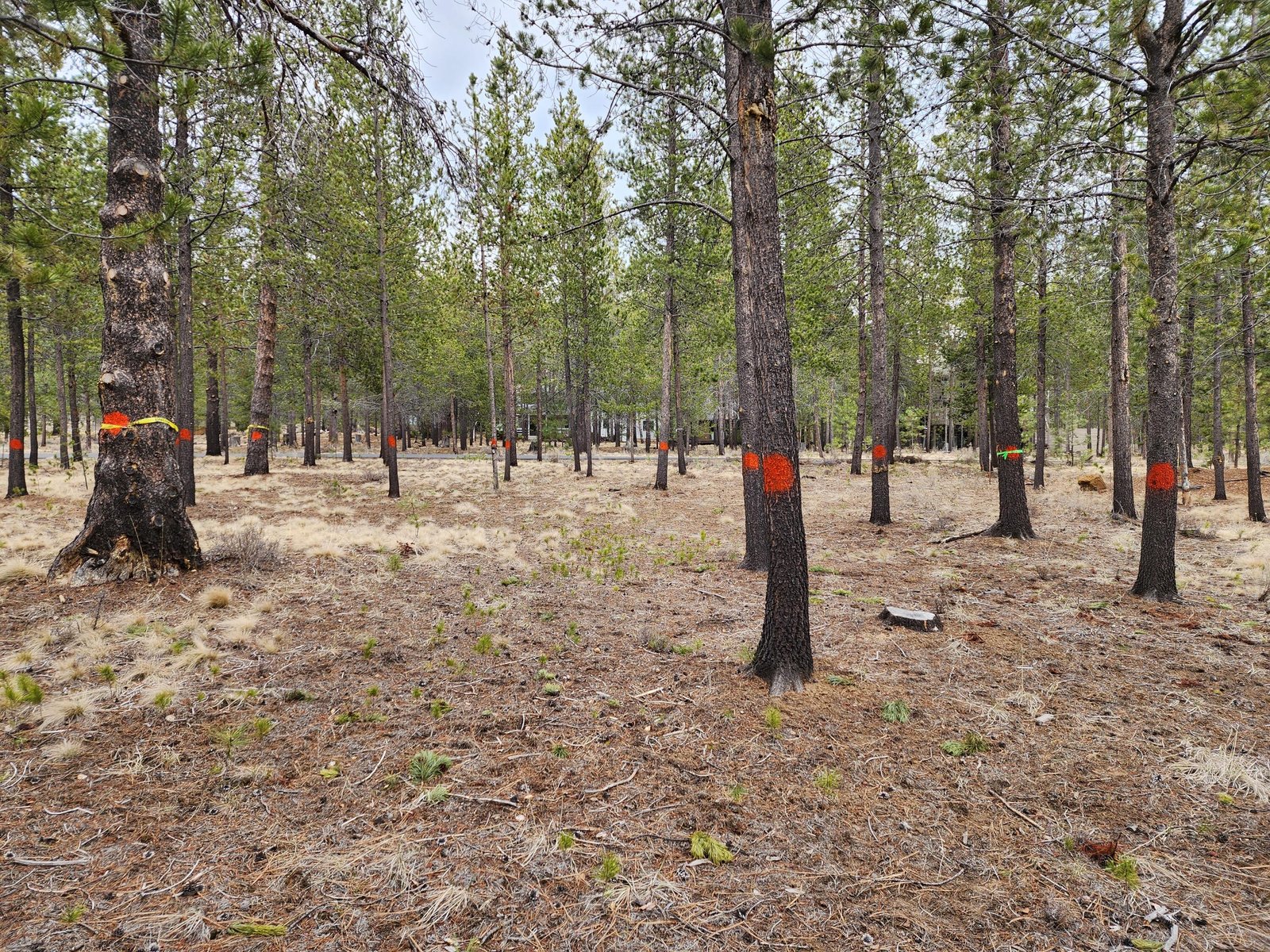 57626 Cultus Lane — Sunriver, OR