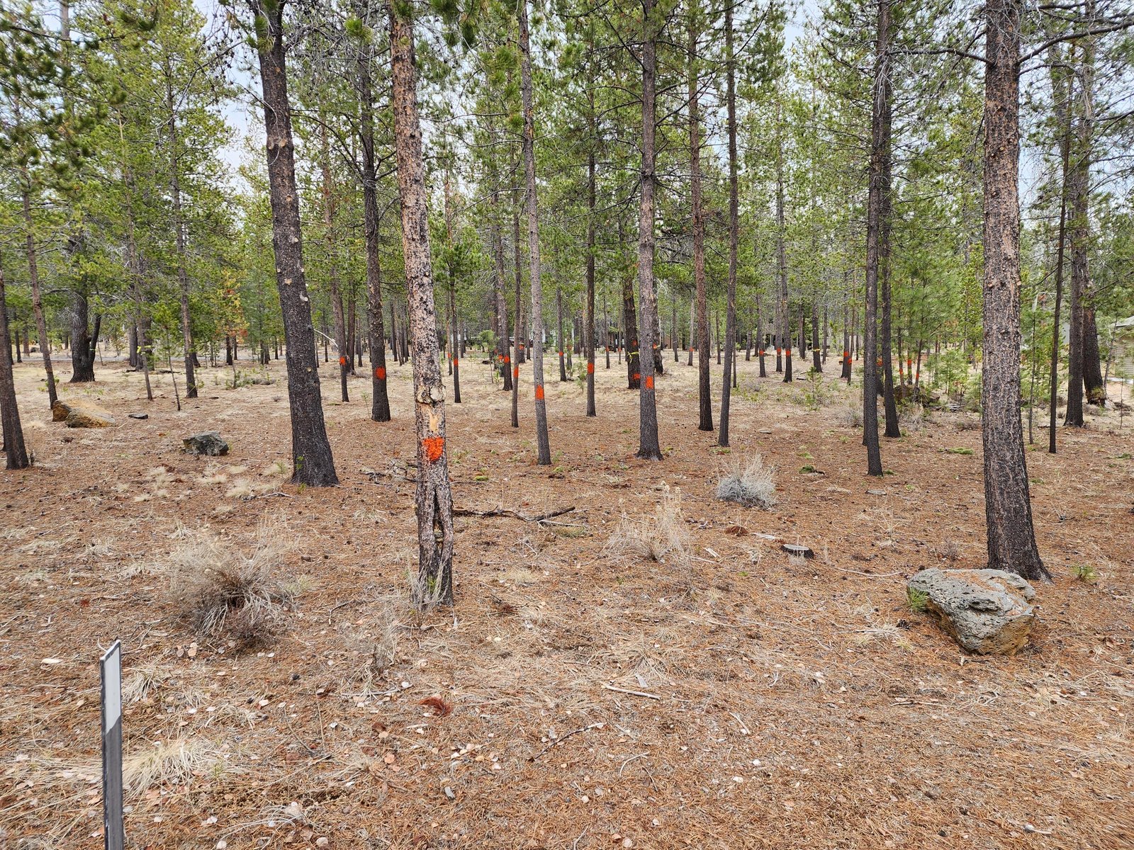 57626 Cultus Lane photo 4
