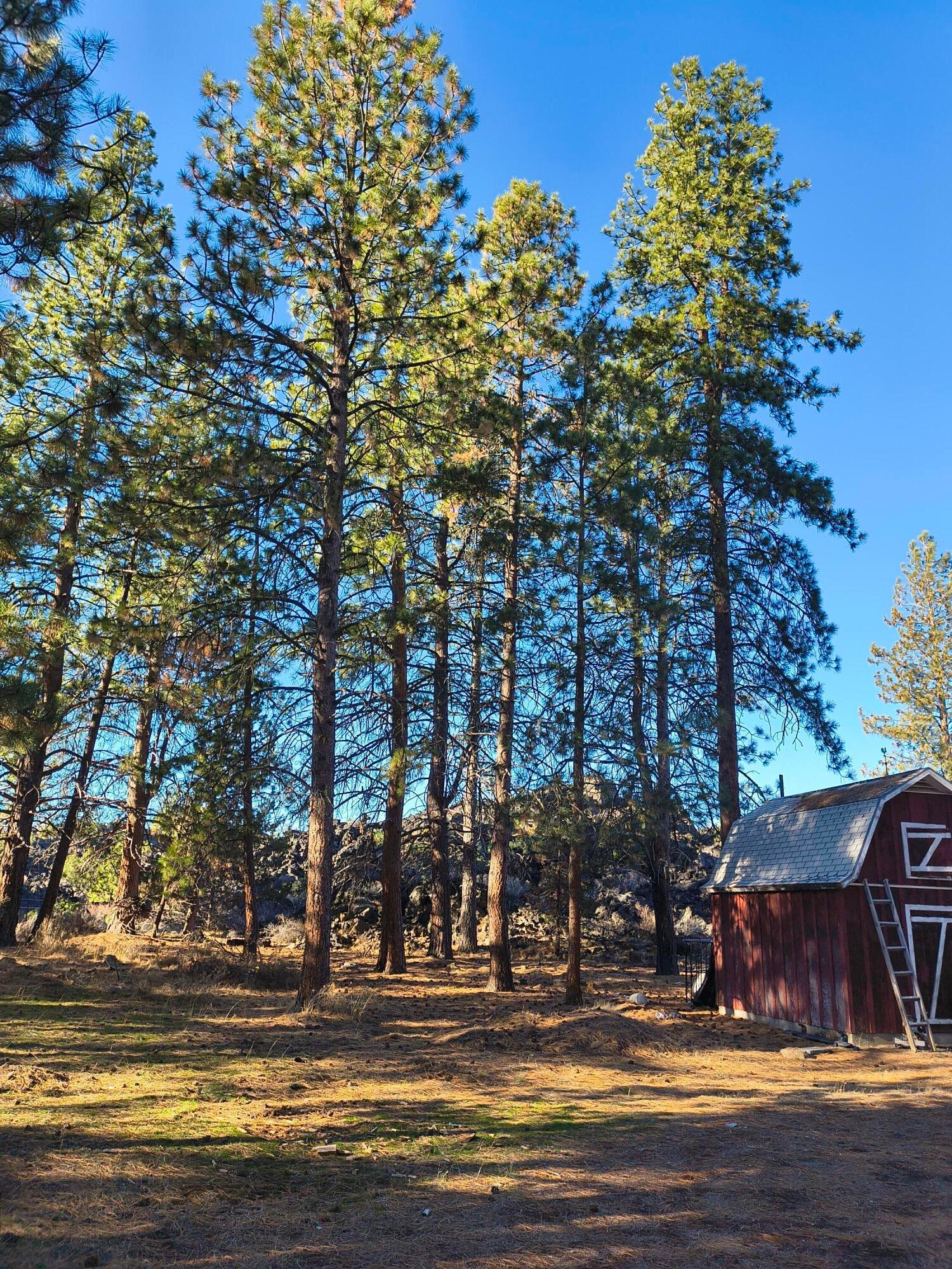 60193 Turquoise Road photo 2