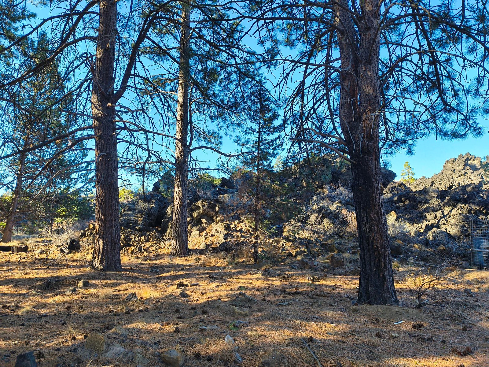 60193 Turquoise Road photo 5