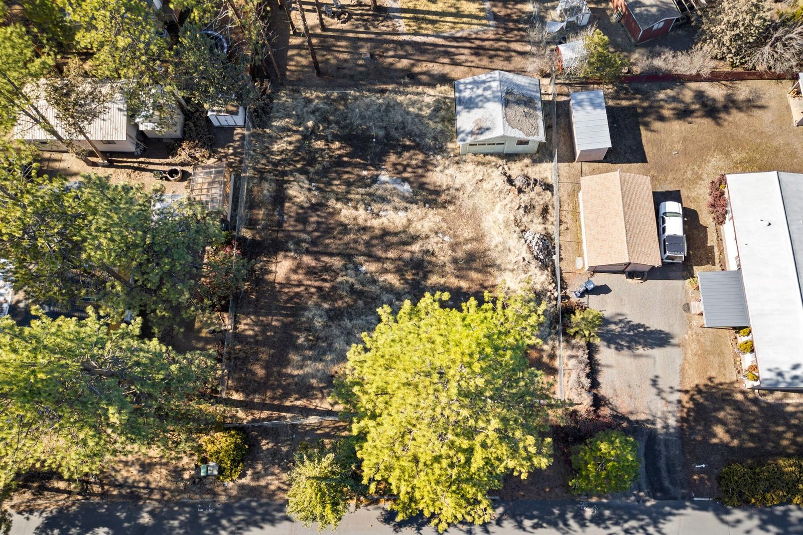 60929 Alpine Drive photo 4