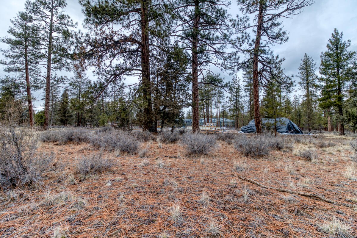 655 W Three Peaks Drive photo 4