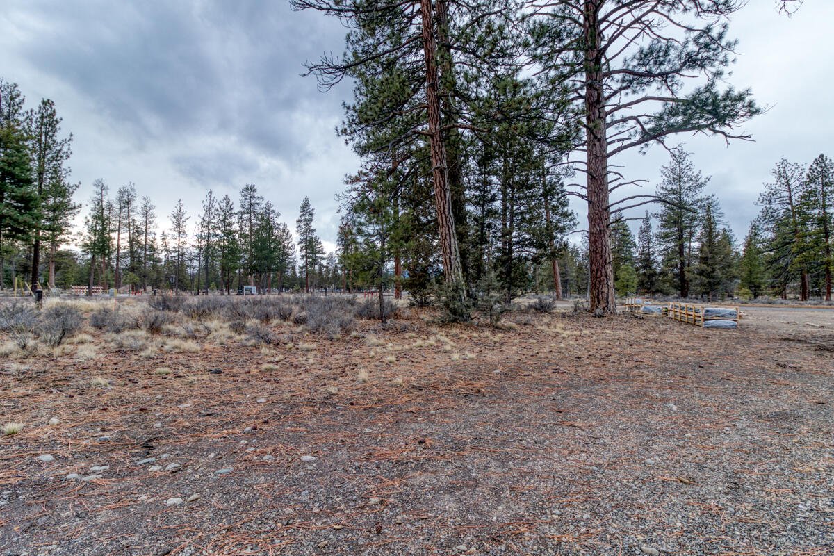 655 W Three Peaks Drive photo 5