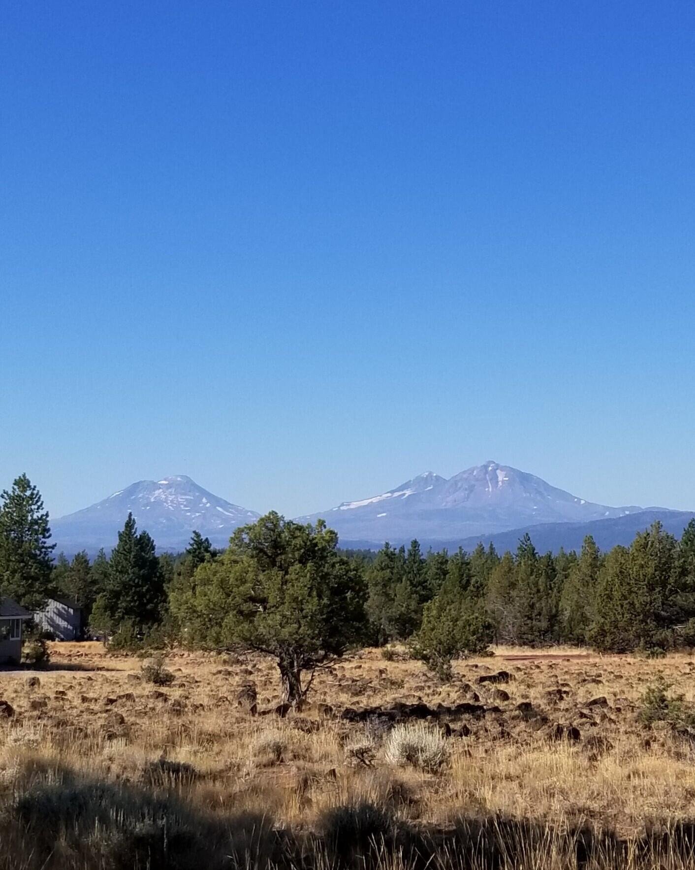 69580 Pine Ridge Drive photo 2