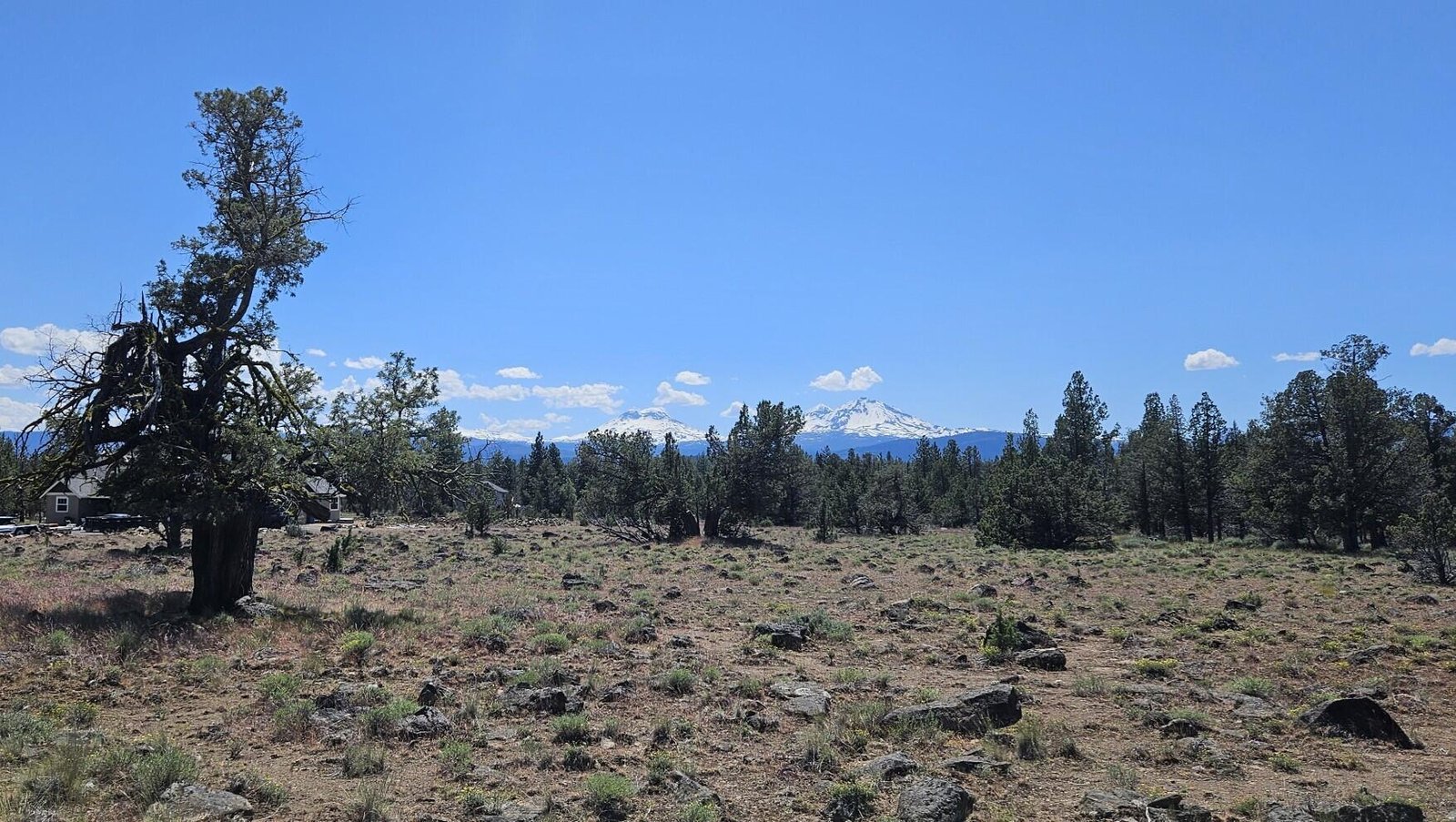 69580 Pine Ridge Drive photo 3