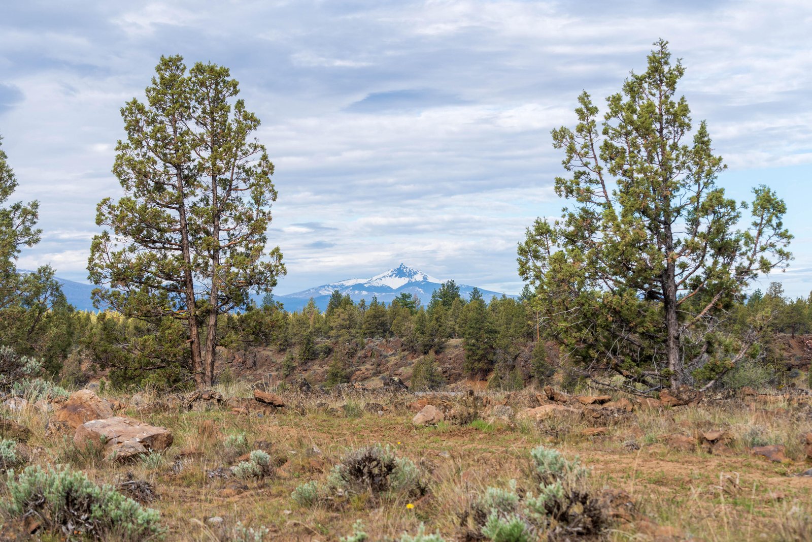69740 McKenzie Canyon Road photo 2