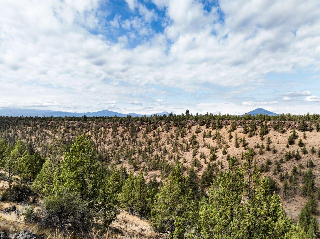69740 McKenzie Canyon Road photo 4