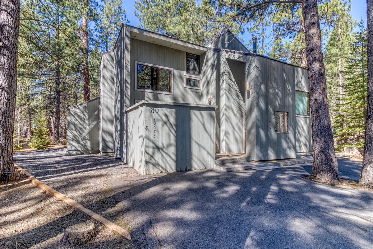 70675 Pasque Flower, SM80 — Black Butte Ranch, OR