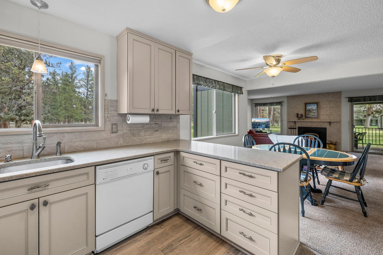807 E Desperado Trail, 101 photo 2