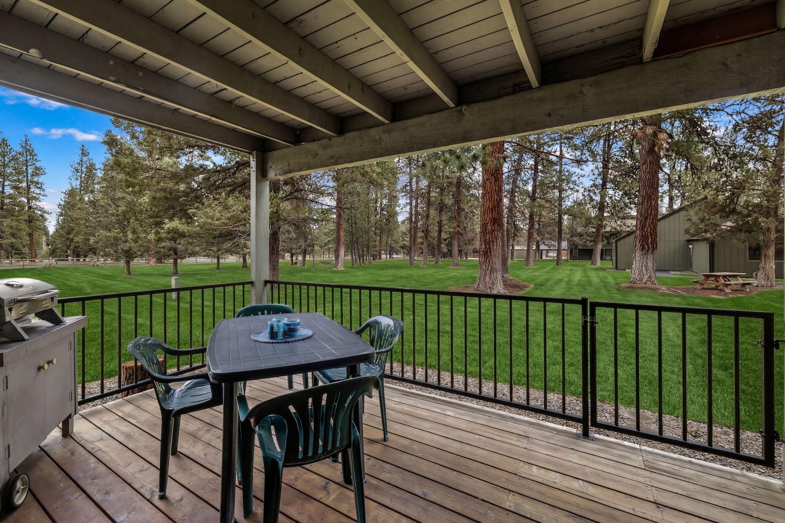 807 E Desperado Trail, 101 photo 5