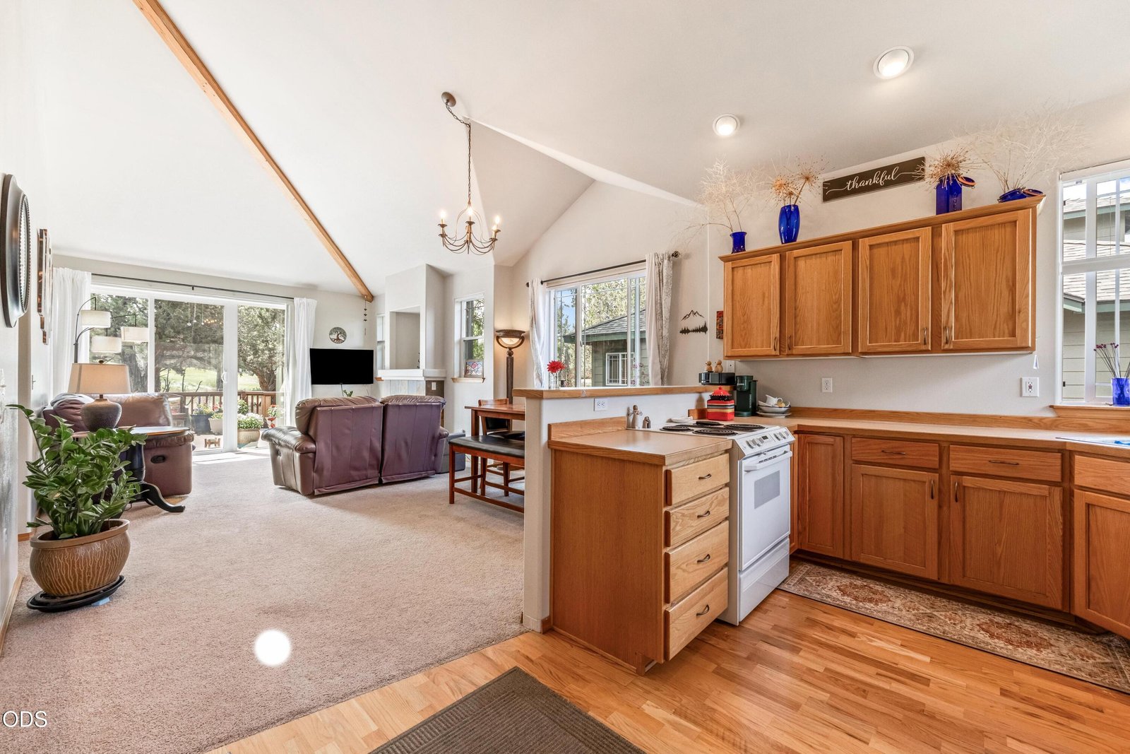 902 Golden Pheasant Drive photo 3