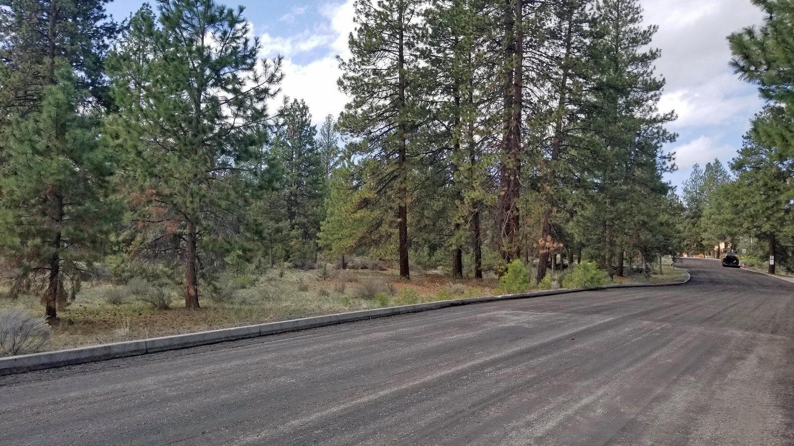 Pinebrook Boulevard photo 2