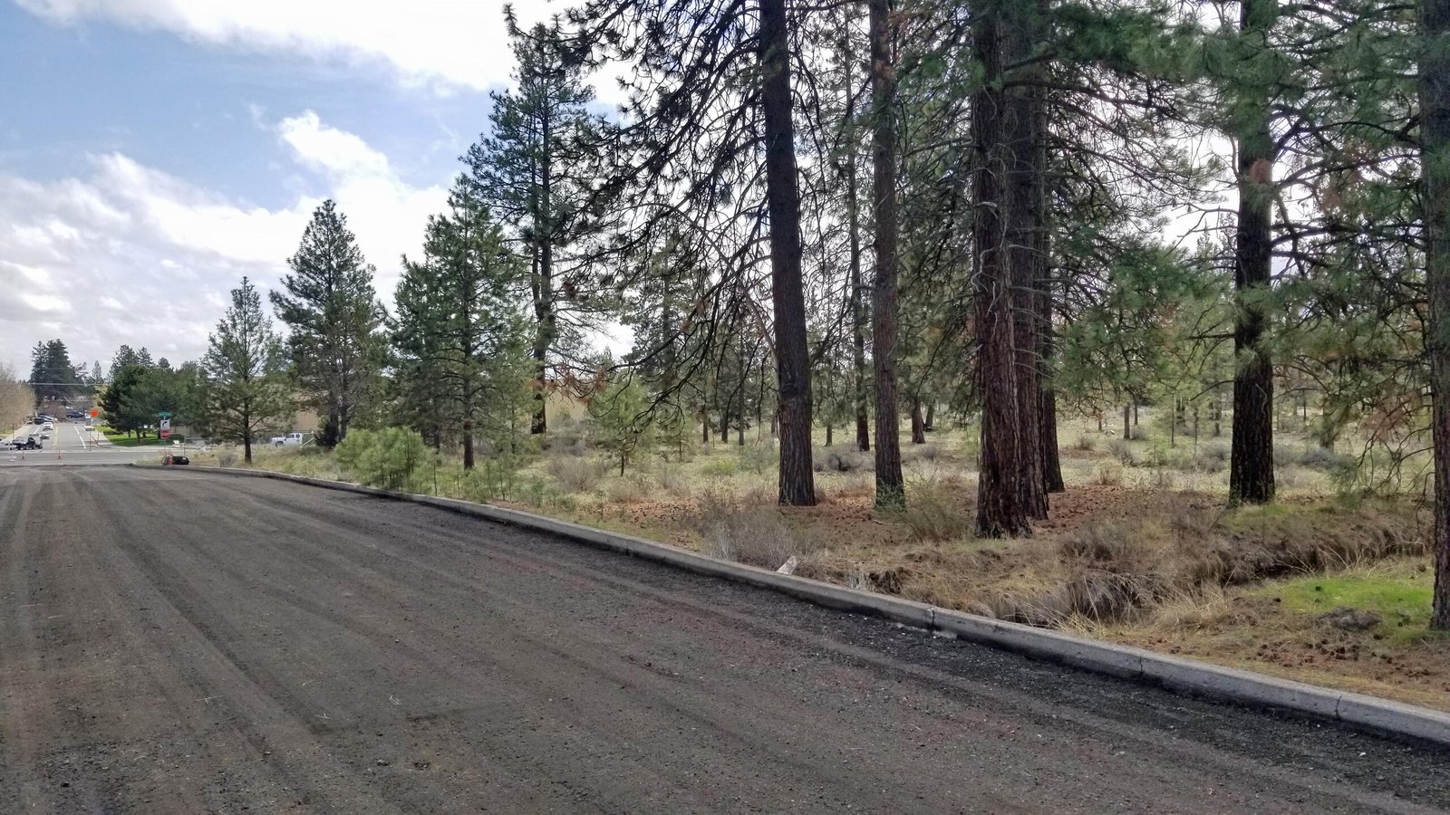 Pinebrook Boulevard photo 3