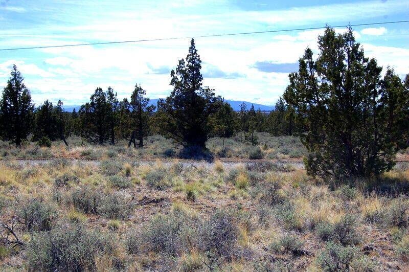 TL 1501 Bluebird Drive photo 2