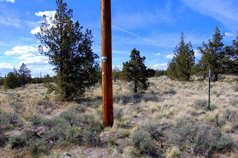 TL 1501 Bluebird Drive photo 3