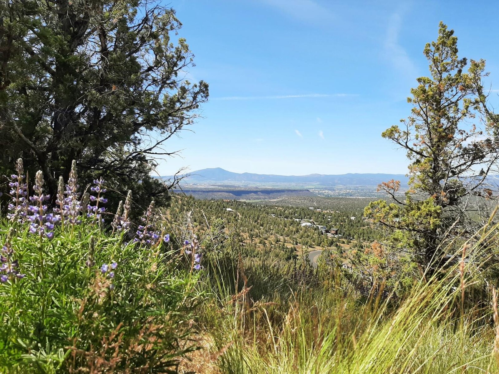 TL1400 SE Night Hawk Court — Prineville, OR